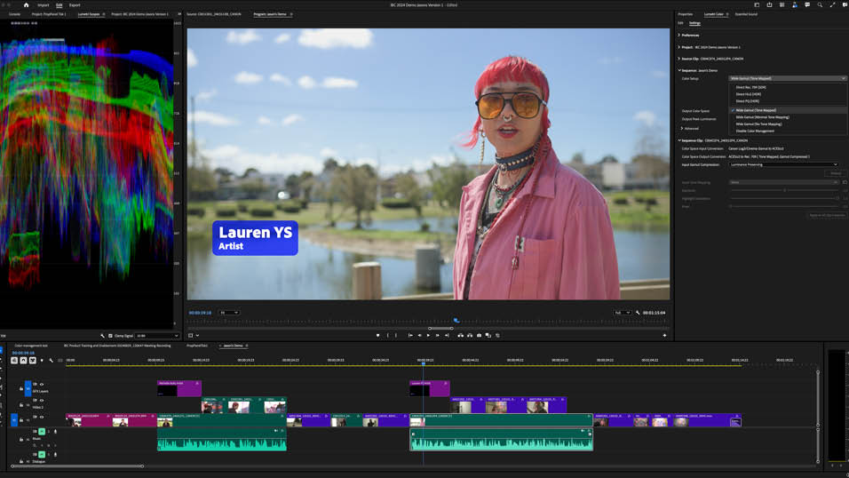 Adobe Premiere Pro: Colour Management with Lumetri