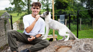 TikTok star Kyle Thomas builds a zoo for BBC3