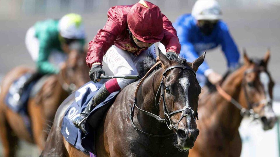 BBC acquires Lorton, Equine Horsepower doc