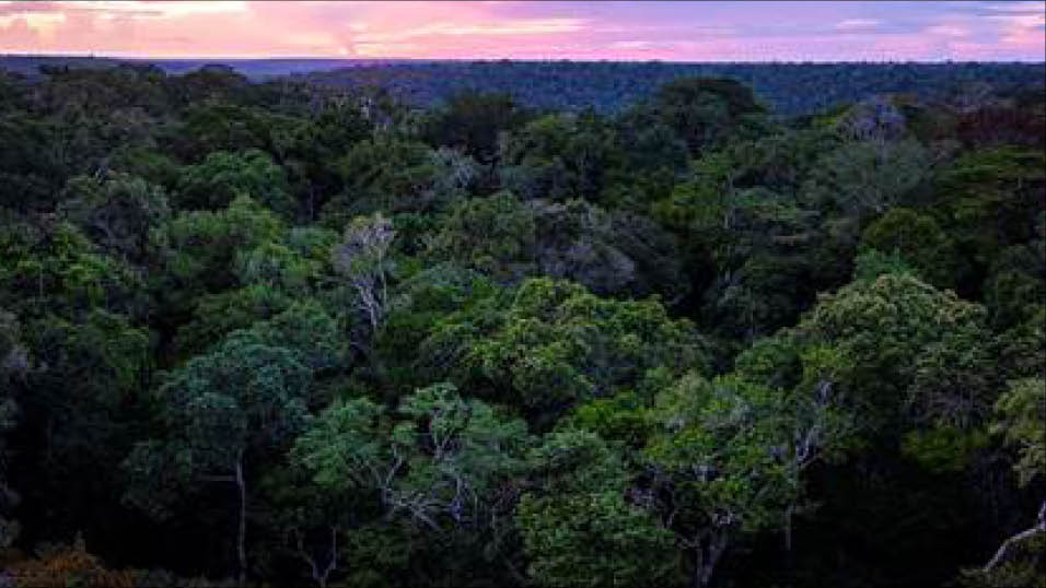 PBS books Brian Leith's Future of Nature